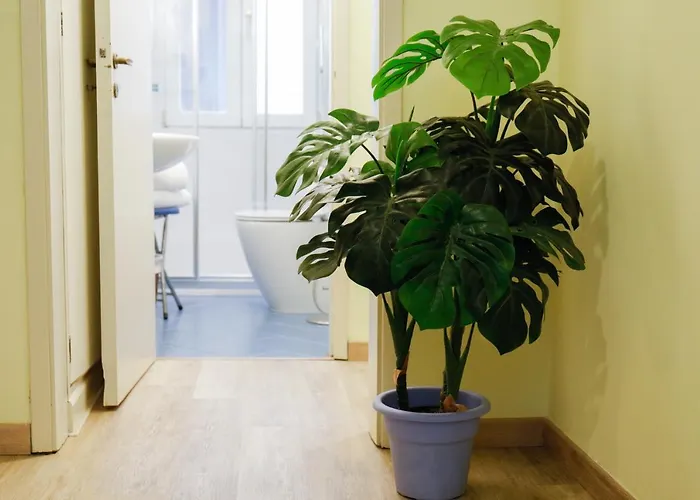 Апартаменты San Marco Frezzaria Венеция